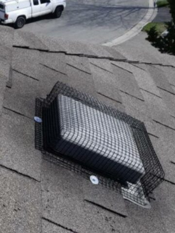 racoon-exclusion-vent Raccoon exclusion vent covering on roof