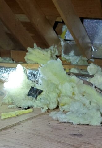 Insulation damage caused by a squirrel nesting